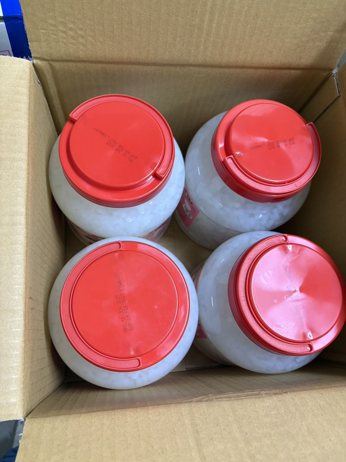 coconut jelly